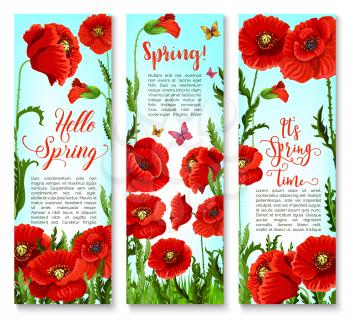 Spring banners with poppy flowers design for springtime holiday greetings and seasonal quotes. Design set of blooming nature and flourish green field with butterflies and blossom buds
