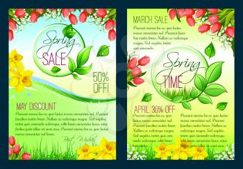 Spring sale floral posters or flyer set. Blooming spring flower banner with special offer text layout, decorated with tulip, narcissus, lily of the valley, green leaf and grass