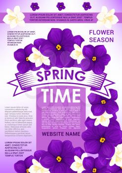 Springtime holidays greeting card. Spring flower poster with white crocus, jasmine and purple violet, adorned by ribbon banner with greeting wishes for spring season holidays invitation flyer design