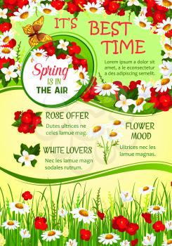 Spring flower wreath greeting banner. Floral frame of crocus, daisy, jasmine, begonia and flowering herbs poster, edged by green grass and wild flowers border. Springtime holidays themes design