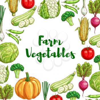 Farm vegetables sketch poster. Fresh tomato, broccoli, green onion, cabbage, corn, zucchini, pumpkin, pea, beet and cauliflower veggies for vegetarian menu, organic farm market, food packaging design