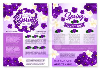 Welcome Spring holiday vector poster design with blooming violet viola in bouquets or crocuses flowers bunch and flourish cherry blossom of orchid petals. Springtime quotes and wishes with floral ribb