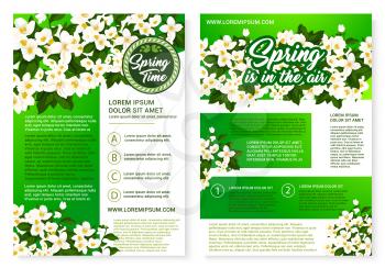 Spring flower flyer template. Spring season holidays greeting poster, adorned by white flowers of jasmine branches with green leaves and buds. Springtime floral invitation design