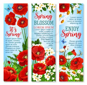 Spring flower field for greeting banner template. Spring flowers of daisy, poppy and jasmine branch on green grass meadow with flying butterflies for springtime holidays themes design