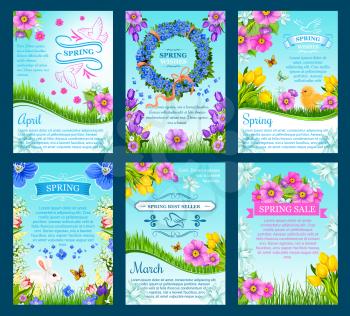Spring sale and springtime holiday card set. Spring flowers and green grass with bunny and chick, floral wreath, ribbon banner and flying dove bird cartoon poster, adorned by tulip, lily, narcissus