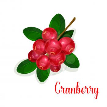 Cranberry fruit bunch cartoon icon. Ripe red berry of cranberry fruit with green branch and leaves. Organic natural food and juice label, healthy dessert, sauce recipe design