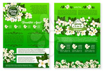 Spring season holidays greeting poster template. Spring flowers brochure with text layouts and branches of blooming jasmine, crocus flowers and green leaves. Springtime floral flyer design