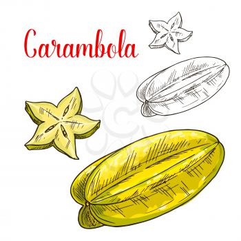 Starfruit isolated sketch. Tropical carambola fruit with star shaped slice. Exotic fruit drink or dessert menu, juice label or vegetarian nutrition nutrition design
