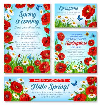 Hello Spring floral banner and springtime holidays greeting card template. Blooming flower of daisy and poppy on spring grass field with flying butterfly cartoon poster, adorned by floral frame border
