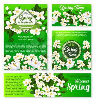 Spring floral template for springtime holidays greeting card, poster and banner. White flowers of jasmine and crocus bunches with green leaf and branch. Spring season celebration themes design