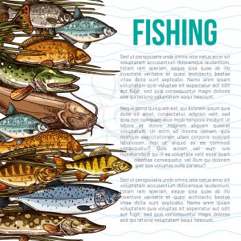 Fishing vector poster with information template on sea and ocean fish food products. Seafood design of fishes catch salmon, herring or trout and bream, tuna or marlin and crucian carp or pike and shea