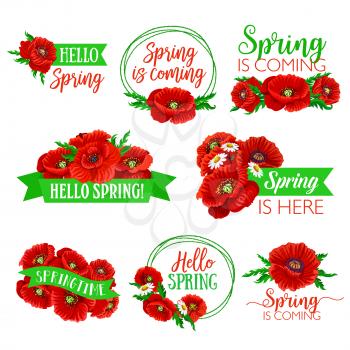 Hello Spring floral symbol set. Spring flower of daisy and poppy with green leaves and ribbon banner with greeting wishes. Springtime holidays badge and label design