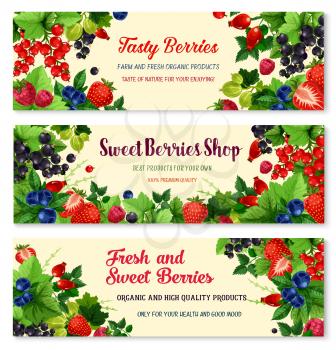 Berries vector banners set for berry shop or farmer market. Fresh harvest of blueberry or black currant and cranberry, garden raspberry and gooseberry. Juicy fruits of strawberry, briar and redcurrant