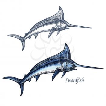 Marlin sketch vector fish icon. Isolated ocean sailfish fish species with dorsal spear. Isolated symbol for seafood restaurant sign or emblem, fishing club or fishery market