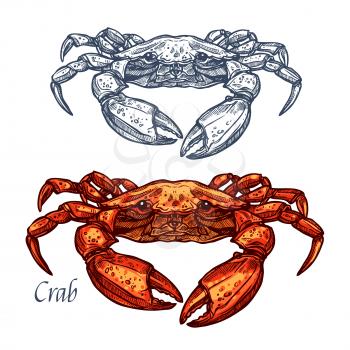 Crab sketch vector icon. Isolated ocean lobster crustaceans species. Isolated symbol for seafood restaurant sign or emblem, fishing club or fishery market