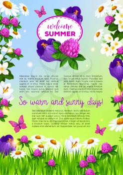 Welcome Summer poster with flowers bouquets. Vector design of summertime clover, crocuses or viola blossoms and floral bunches of blooming daisy and tulip petals on sunny meadow lawn
