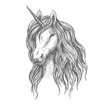 Unicorn vector sketch. Vector sign of mythical horse head with horn, wavy mane for sport badge, heraldic tattoo