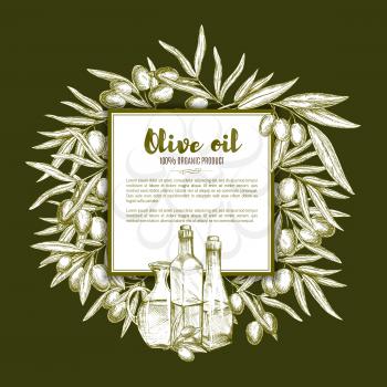 Olive oil and fruit sketch poster. Olive tree branches with ripe fruit and bottles of natural organic oil arranged around text layout. Olive oil label, healthy food banner design