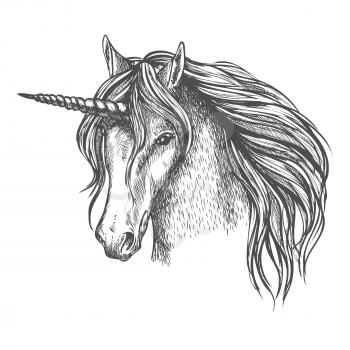 Unicorn head sketch. Mythic fantasy equine creature. Heraldic mustang head with long horn and wavy mane. Vector sketch symbol of fantastic fairy horse for astrology, fairytale story design