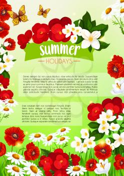 Summer holidays vector poster template design of summertime flowers and floral bouquets of blooming begonia, crocuses and daisy buds or viola petals and butterflies on garden poppy blossoms