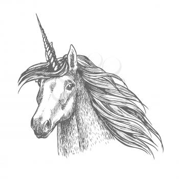 Unicorn horse head sketch. Magic horse with twisted horn. Fantastic animal for fairy tale, t-shirt print or tattoo design