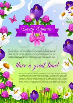 Summer time vector poster with blooming clovers, irises or viola flowers and daisy field. Vector ribbon with flourish bow of summertime blooming crocuses bouquets and lily blossoms in green grass