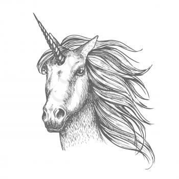 Unicorn head sketch. Mythical horse, heraldic equine head with horn and wavy mane. Mythic symbol of fantasy horse for astrology, fairytale story design. White mythical heraldic isolated horse head wit
