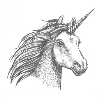 Unicorn head. Mythical heraldic equine animal with horn. Vector sketch mythic horse