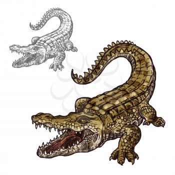 Crocodile alligator sketch vector icon. Sea or river predatory reptile animal species. Isolated fauna and zoology symbol or emblem for fishing club or fishery seafood market