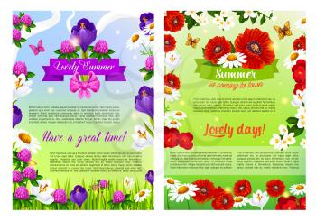 Summer is coming posters set for summertime holiday greeting of blooming flowers, poppy or clover petals, daisy, roses or viola bunch in green grass, butterfly on jasmine blossoms and flourish ribbon