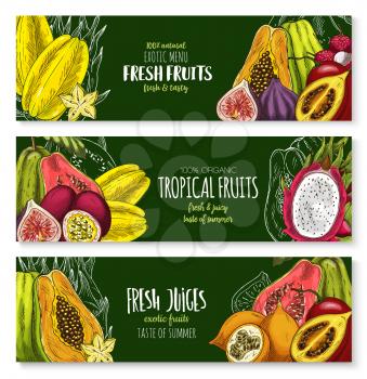 Exotic fruits vector banners set of durian or papaya, tropical feijoa or lychee, banana and rambutan or dragon fruit and mangosteen, orange or lemon and pomelo citrus for fruit juice bar