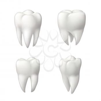 Tooth isolated icon set. Healthy teeth 3d illustration with white enamel and root. Dentistry, dental health care, dentist office, oral hygiene themes design