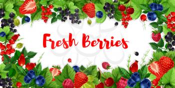 Berries banners of strawberry, raspberry or blackcurrant and red currant or cranberry. Vector design set of fresh harvest, briar of cherry and blackberry or gooseberry for organic berry market