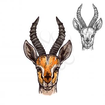 Antelope African wild animal head or muzzle sketch with horns. Vector isolated icon of gazelle or saigas for zoology, mascot blazon of sport team, wildlife nature adventure scout club or tattoo