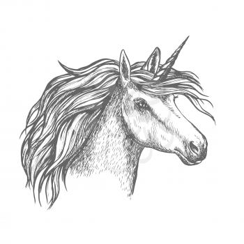 Unicorn head sketch. Heraldic equine head of mythical horse, with long horn and wavy mane. Mythic isolated symbol of fantasy horse for astrology, fairytale story book design