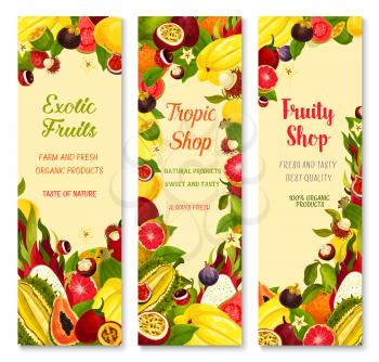 Exotic fruits banners for shop. Vector design of carambola, tropical durian or papaya and banana or kiwi, fresh lychee or rambutan and juicy dragon fruit, guava or orange for farm market