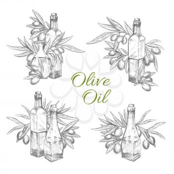 Olive oil and olives sketch icons set. Vector isolated symbols of green or black olives and bottles or jars with extra virgin oil. Design for fresh organic cooking oil product and healthy cuisine