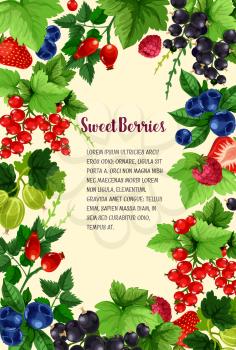Berries vector poster of strawberry, blueberry and cranberry, fresh harvest of black currant or redcurrant and sweet garden raspberry, juicy wild briar berry and gooseberry for berry shop or farmer ma