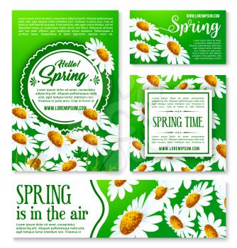 Spring flowers banner and greeting card template. White flowers of daisy and chamomile with green leaf cartoon poster for Hello Spring concept and springtime season celebration themes design