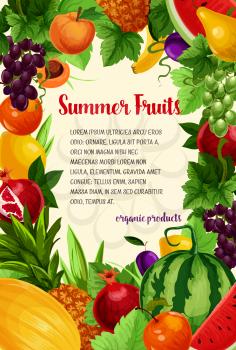 Fruits vector poster of summer fresh apple and pomegranate, apricot and tropical pineapple or banana, juicy watermelon, sweet peach and summer garden plums with green grapes and melon or pear