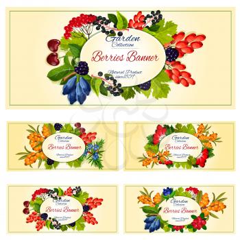 Berry on branch with fruit and leaf banner set. Summer cherry, blackberry, forest cranberry, cowberry, barberry, wild rowanberry, briar, honeysuckle, sea buckthorn, bird cherry label for food design