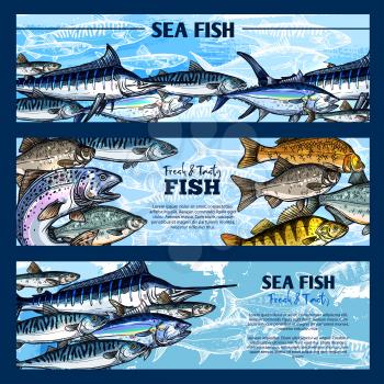 Fresh fish seafood restaurant sketch banner set. Salmon, tuna, blue marlin, mackerel, perch, trout, pike, carp and cod fish. Sea and freshwater animal for seafood menu, fish market and fishing design