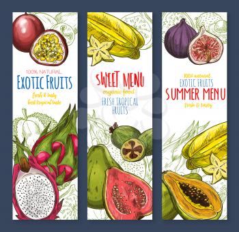 Exotic fruit, sweet tropical food banner set. Fresh papaya, feijoa, passion fruit, carambola, dragon fruit, durian, lychee, guava and fig sketches with slice and leaf. Tropical juice, dessert design