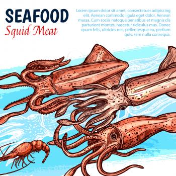 Seafood poster with squid meat for fishery market or fresh sea food shop and restaurant. Vector design template of fishing catch squids or shrimps and lobster, octopus or crab and cuttlefish