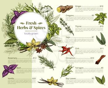 Herbs shop price menu for spices and seasonings. Vector design of ginger, oregano and thyme or sage and chili pepper. Fresh organic tarragon, bay leaf and vanilla or rosemary flavorings