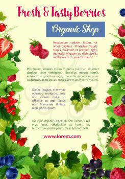 Berries poster for fruit organic shop. Vector harvest of gooseberry, red and black currant or raspberry, garden cherry and strawberry. Forest or farm grown blueberry or blackberry and cranberry