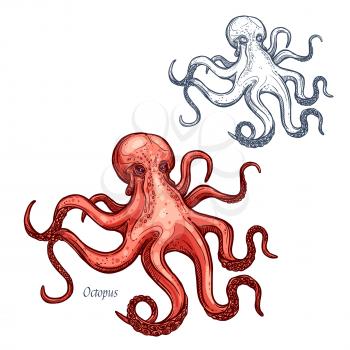Octopus sketch vector icon. Ocean predatory animal species with eight feet. Isolated fauna and zoology symbol or emblem for fishing club or fishery seafood market