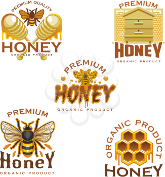 Honey icon with natural sweet food of beekeeping farm. Honey bee, honeycomb, wooden beehive and dipper symbol with honey drop and splashes for food packaging label or apiculture themes design