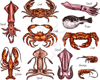 Sea animal and ocean fish sketches. Lobster, crab and shrimp, squid, prawn and exotic fugu fish isolated symbol of seafood delicatessen for fish market label and fishing sport design