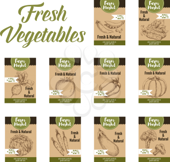 Vegetable tag and farm market veggies price labels set. Fresh tomato, carrot, bell pepper and cabbage, broccoli, eggplant, cucumber and pea, pumpkin and beet sketch card with discount offer text